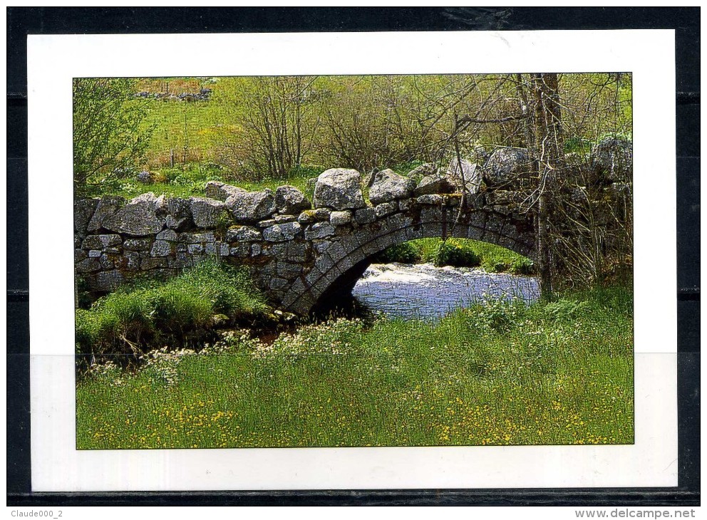 CHARMES DE LA MARGERIDE . Pont Gallo Romain .  Voir Recto - Verso    (T304) - Autres & Non Classés