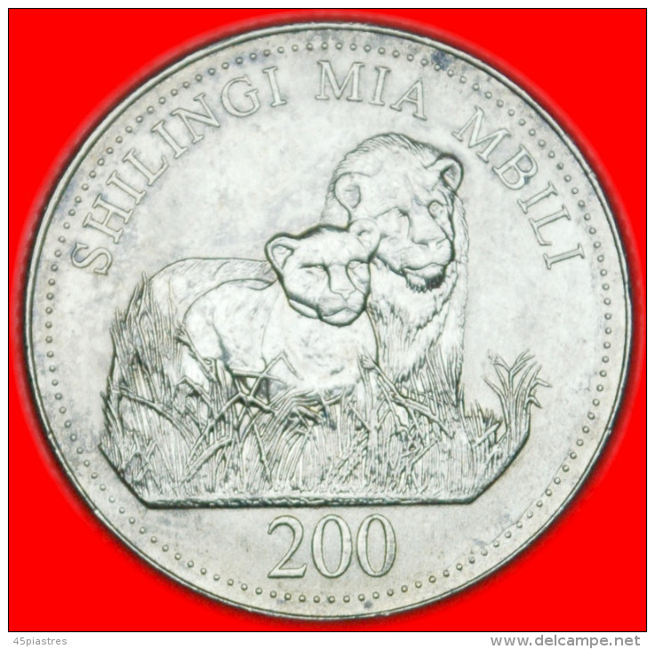 * ZANZIBAR (1998-2014) ~ LIONS  TANZANIA  200 SHILLINGS 1998! LOW START NO RESERVE!!! - Tanzania