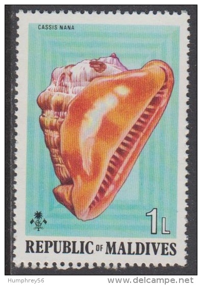1975 - MALDIVES - Y&T 511 [Shells: Cassis Nana (MNH/**)] - Maldives (1965-...)