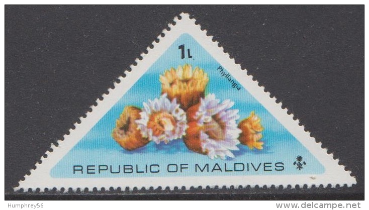 1975 - MALDIVES - Y&T 533 [Flora Of The Sea: Phyllangia (MNH/**)] - Maldives (1965-...)