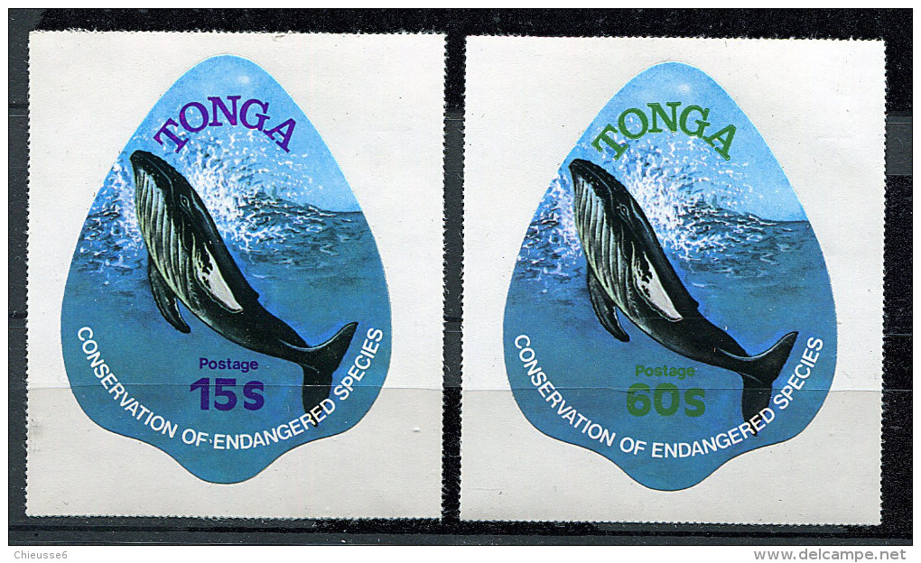 (cl.28 - P2) Tonga ** N° 439 - 443 - Baleines  - Prix 6,50 € + Port - Tonga (1970-...)