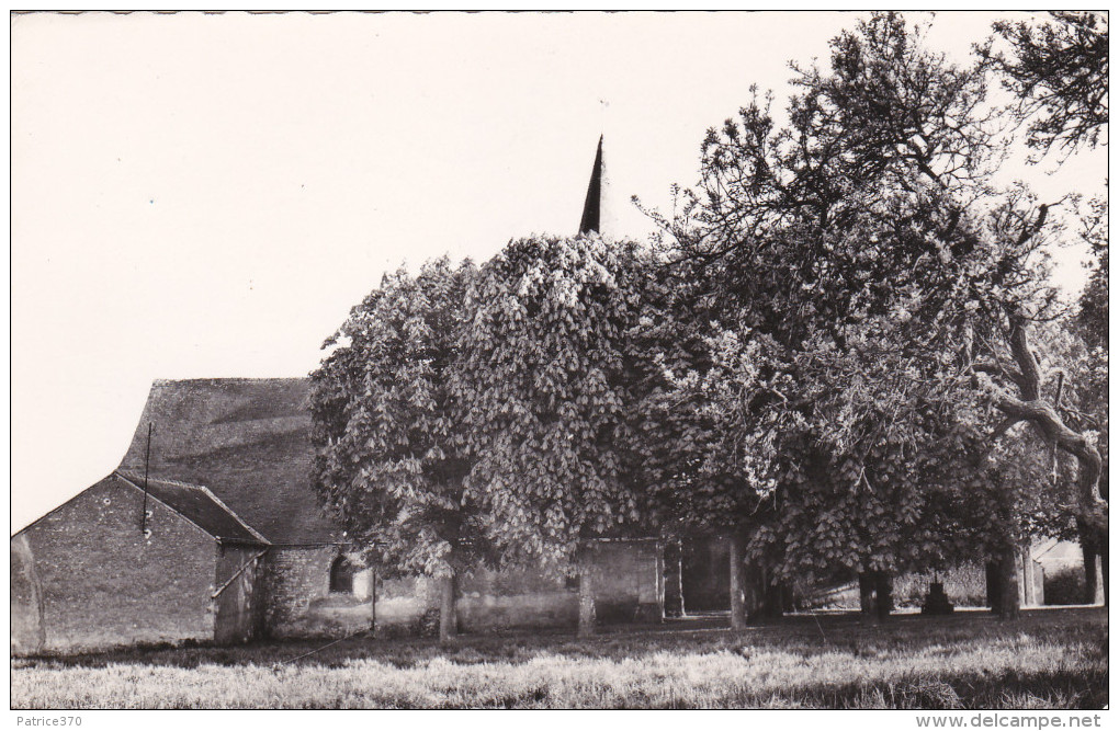 BOIGNY SUR BIONNE - L'Eglise Dans Son Nid De Verdure - Other & Unclassified