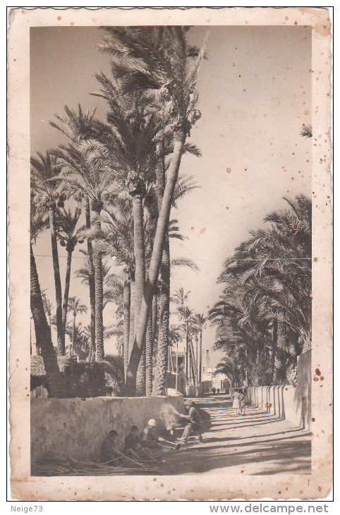 Carte Postale Des Années 50 D'Elsche -Tissage De La Palme - Autres & Non Classés