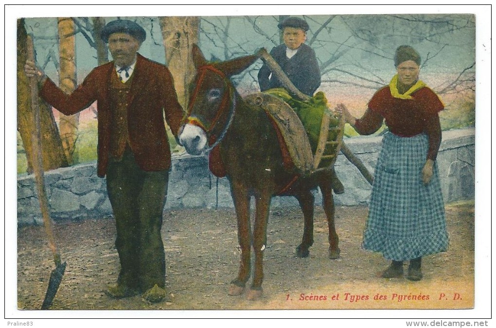 CPA - SCENES ET TYPES DES PYRENEES - Famille De Paysans Et Ane Monté - Europe