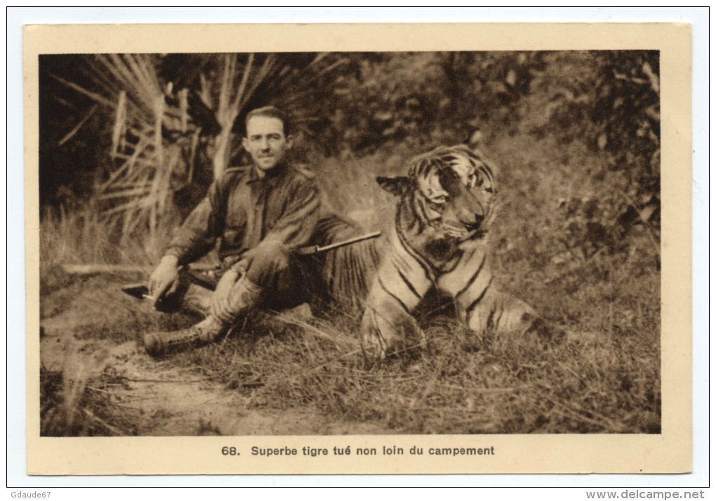 INDOCHINE - SUPERBE TIGRE TUE NON LOIN DU CAMPEMENT - Vietnam