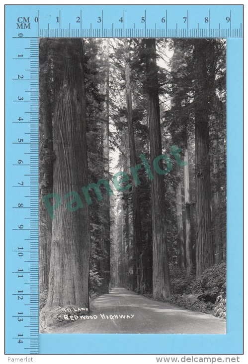 Real Photo ( Redwood Highway, 911 Laws )   POSTCARD 2 SCANS - Autres & Non Classés