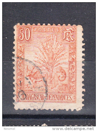 Madagascar   -   1903.  Zebù E Albero. Zebu And Tree. 50 C. Rare!!! - Oblitérés