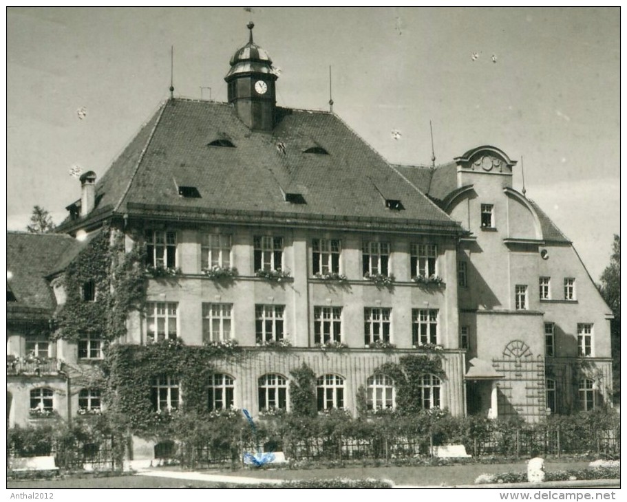 Schulhaus Freilassing Bayern Kleinformat Sw Gezackt 22.7.1955 - Freilassing