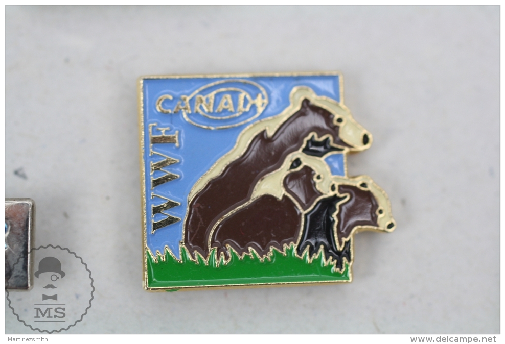 WWF World Wide Fund For Nature Channal -  Pin Badge #PLS - Médias