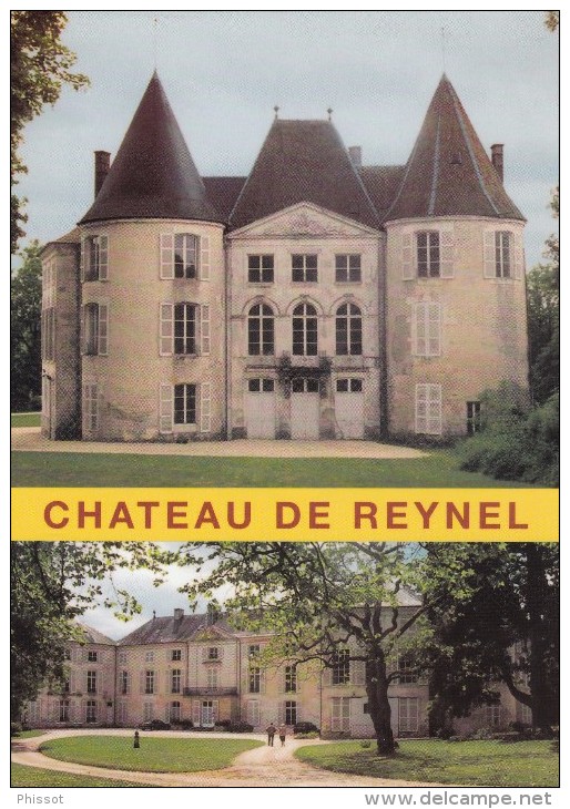 Le Château De REYNEL : Monument Historique Privé Et Habité - Multivues (2) Entrée Du Château Et Cour D'Honneur - Other & Unclassified
