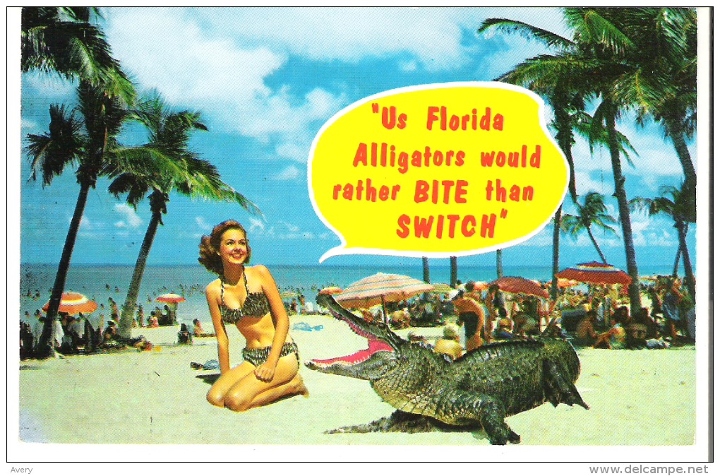 Pin-Up  "Us Florida Alligators Would Rather Bite Than Switch" - Pin-Ups