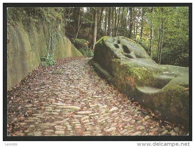 TORENÖLI BE Bei Schwarzenburg Am Pilgerweg Im Naturpark Gantrisch - Schwarzenburg