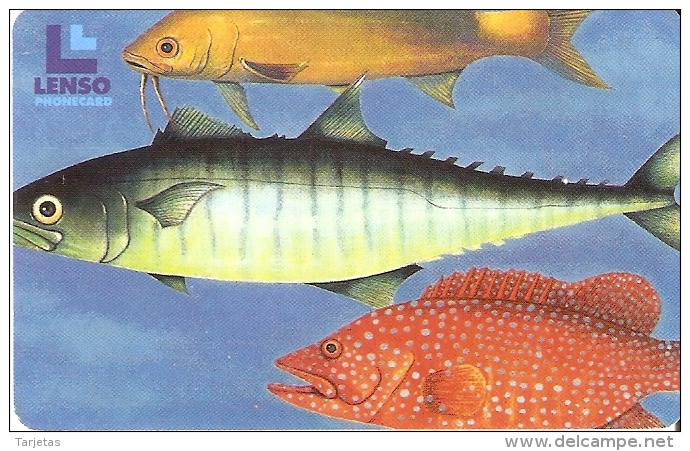 TARJETA DE TAILANDIA DE UNOS PECES  (FISH-PEZ) LENSO - Tailandia