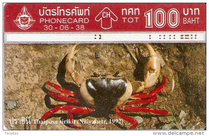 TARJETA DE TAILANDIA DE UN CANGREJO   (CRABE-CRAB-KRABBE) - Tailandia