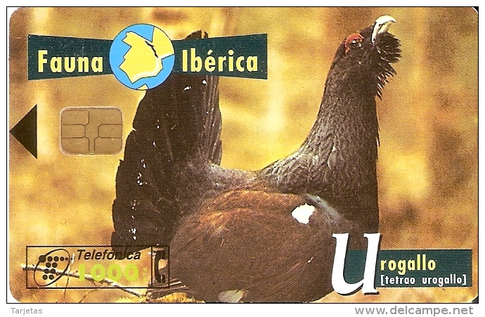 B-061 TARJETA UROGALLO DE TIRADA 250000 (GALLO-COQ) - Hoenderachtigen & Fazanten