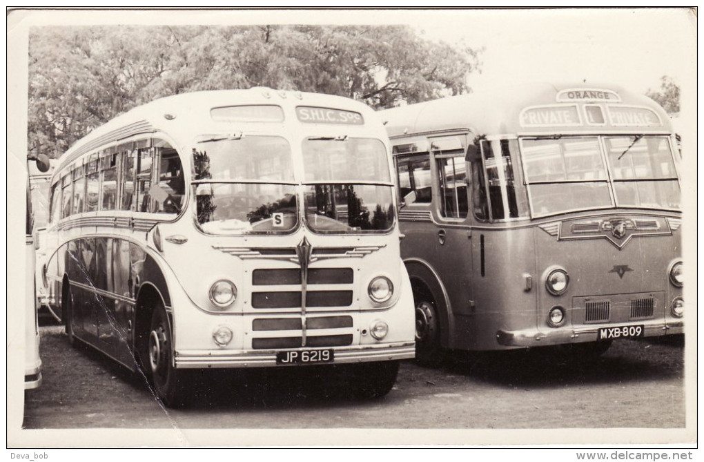 Bus Photo St Helens Co-Op AEC Regal JP6219 Orange Coaches Leyland Tiger MXB809 - Cars