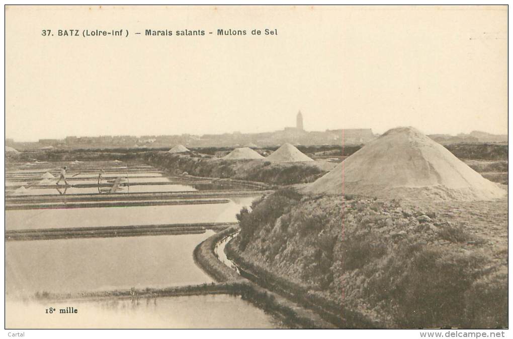 44 - BATZ - Marais Salants - Mulons De Sel - Batz-sur-Mer (Bourg De B.)