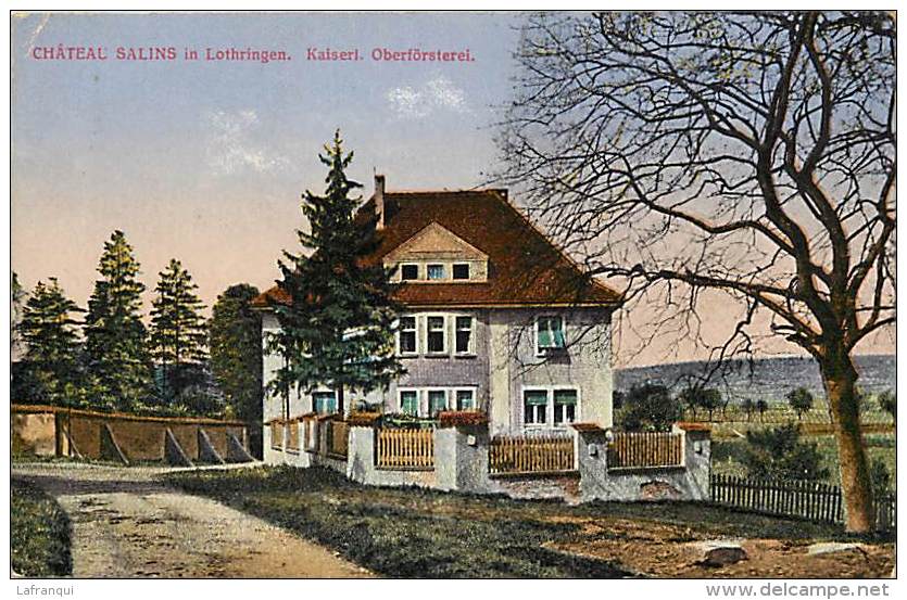 Depts Div - Moselle - Ref- U927 - Chateau Salins In Lothringen -  Kaiserl Oberforsterel - - Chateau Salins