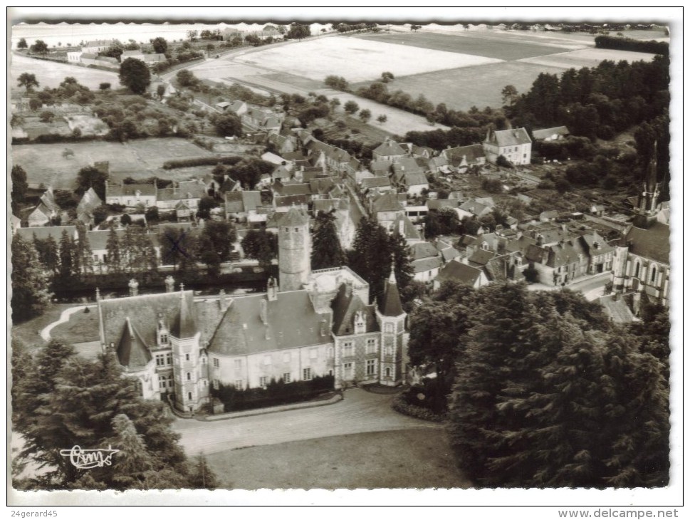 CPSM BEAUMONT LA RONCE (Indre Et Loire) - Le Chateau : Vue Aérienne - Beaumont-la-Ronce