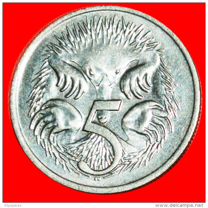 * ECHIDNAS (1966-2022) ★ AUSTRALIA ★ 5 CENTS 1976! LOW START&#9733; NO RESERVE! - 5 Cents