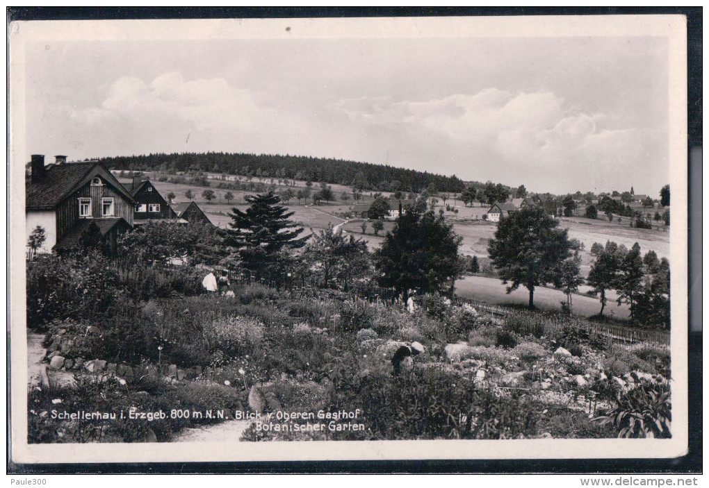 Schellerhau - Blick Vom Oberen Gasthof - Botanischer Garten - Erzgebirge - Schellerhau