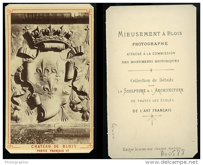 Château Aile De Francois Premier Blason 41000 Blois France Ancienne Photo CDV 1870 - Old (before 1900)