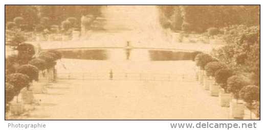 Tuileries Garden, Panorama, Paris, Old CDV Photo 1865 - Old (before 1900)