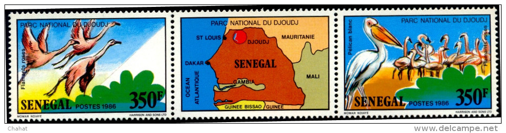 BIRDS- DJOUDJ NATIONAL PARK-FLAMINGOS-PELICANS Etc-SENEGAL 1987- FULL SET-MNH A6-398 - Flamants