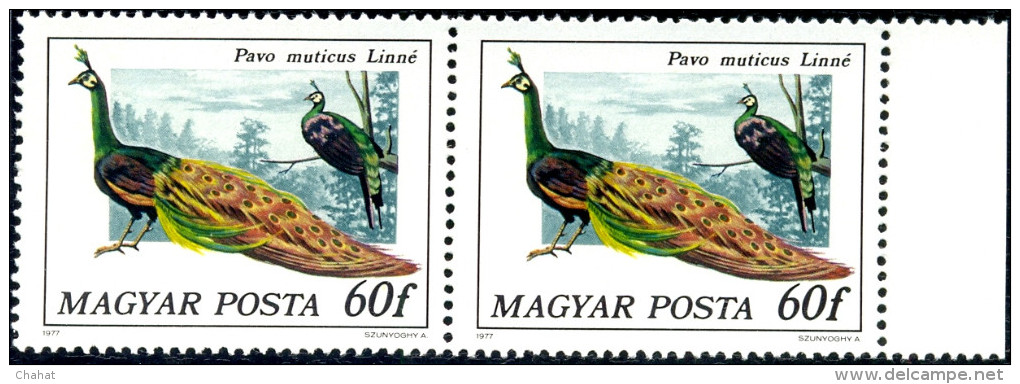 BIRDS-PEAFOWL & PHEASANTS-HUNGARY-1977-SET OF 6 IN PAIRS-MNH A6-401 - Pauwen