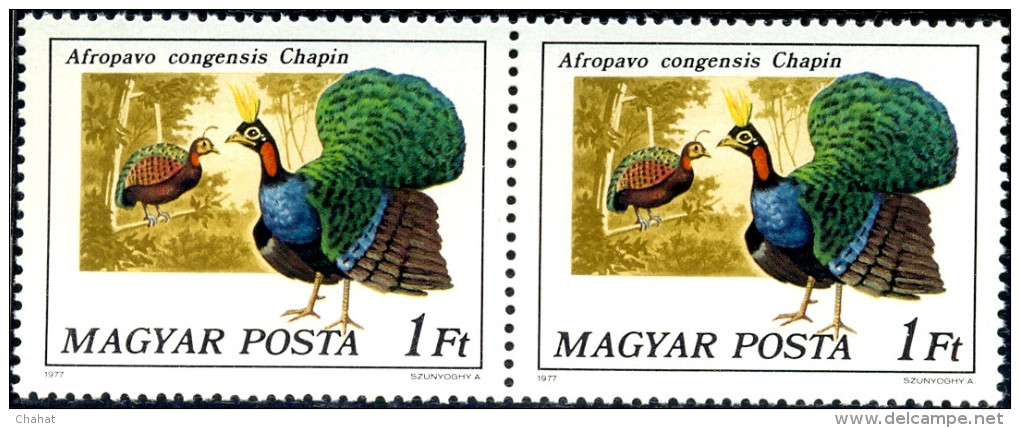 BIRDS-PEAFOWL & PHEASANTS-HUNGARY-1977-SET OF 6 IN PAIRS-MNH A6-401 - Peacocks