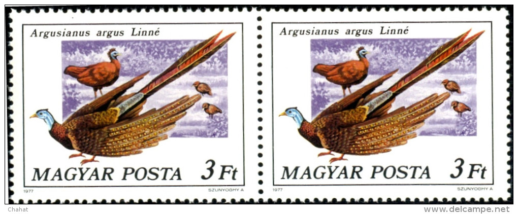 BIRDS-PEAFOWL & PHEASANTS-HUNGARY-1977-SET OF 6 IN PAIRS-MNH A6-401 - Pauwen