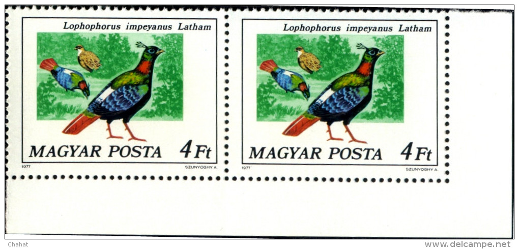 BIRDS-PEAFOWL & PHEASANTS-HUNGARY-1977-SET OF 6 IN PAIRS-MNH A6-401 - Peacocks