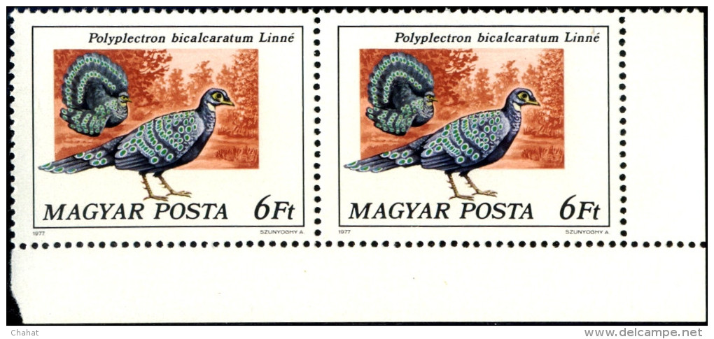 BIRDS-PEAFOWL & PHEASANTS-HUNGARY-1977-SET OF 6 IN PAIRS-MNH A6-401 - Pauwen