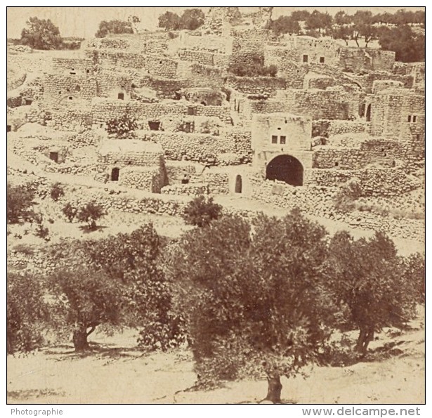 Bethanie Panorama Palestine Old Stereo Photo 1900' - Photos Stéréoscopiques