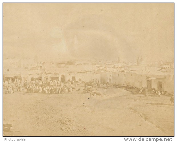 Tunis Horses Market Tunisia Old Garrigues Photo 1880 - Anciennes (Av. 1900)