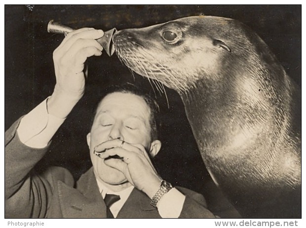 Circus Armand Guerre Seal Trainer Medrano Photo 1950 - Sonstige & Ohne Zuordnung