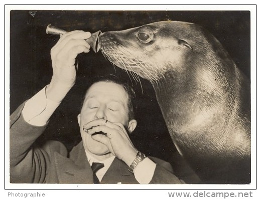 Circus Armand Guerre Seal Trainer Medrano Photo 1950 - Sonstige & Ohne Zuordnung