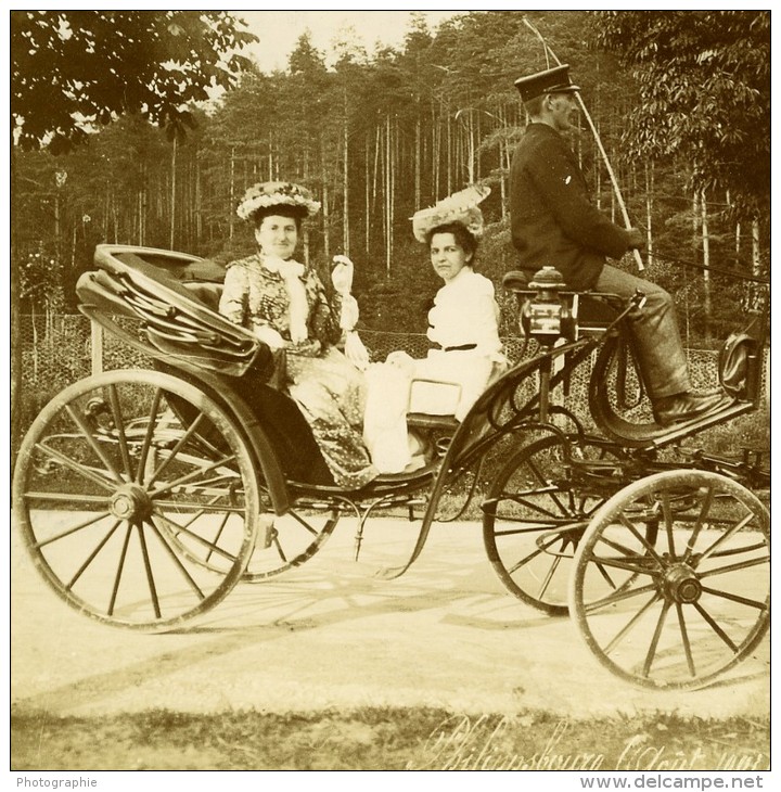 France Moselle Philippsbourg Cheval Dames Cocher Caleche Ancienne Photo Amateur 1901 - Autres & Non Classés