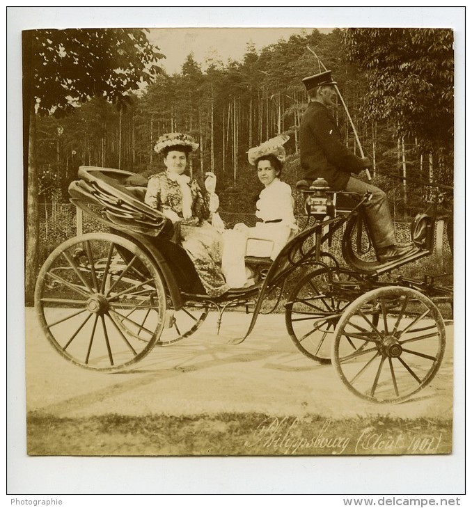 France Moselle Philippsbourg Cheval Dames Cocher Caleche Ancienne Photo Amateur 1901 - Sonstige & Ohne Zuordnung