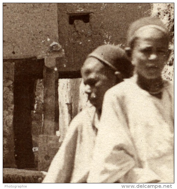 Algérie Sahara Oasis Biskra Mule Ane Ancienne Photo Neurdein 1890 - Afrique