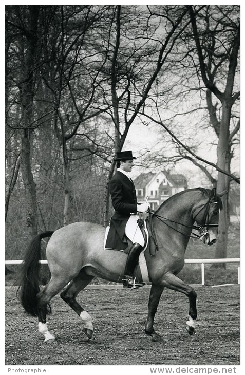 Belgique Cheval Piaffé Dressage Jan Bemelmans Ancienne Photo Vanderhaegen 1980 - Sports