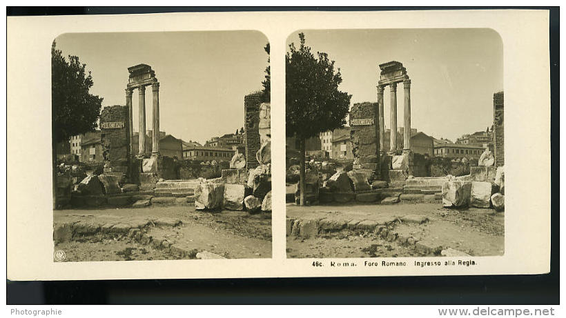 Italie Rome Forum Romain Regia Ancienne Photo Stereo NPG 1900 - Photos Stéréoscopiques