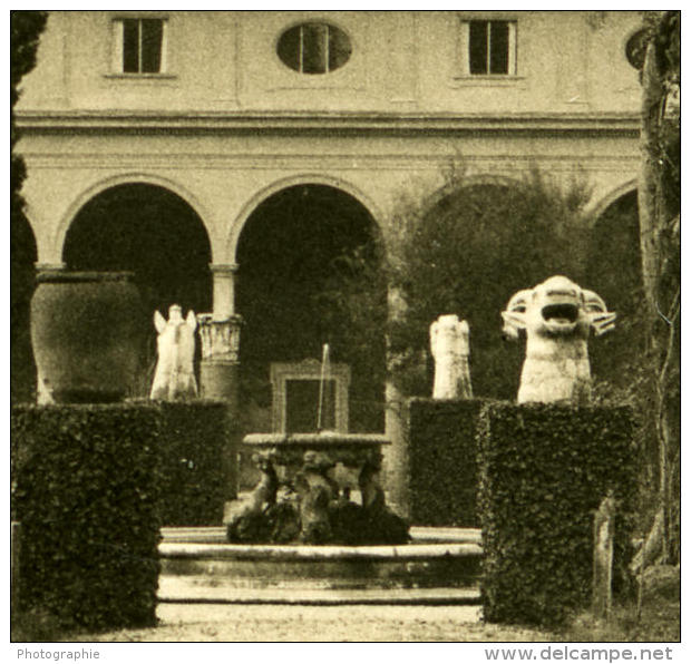 Italie Rome Musée National Romain Jardin Ancienne Photo Stereo NPG 1900 - Photos Stéréoscopiques