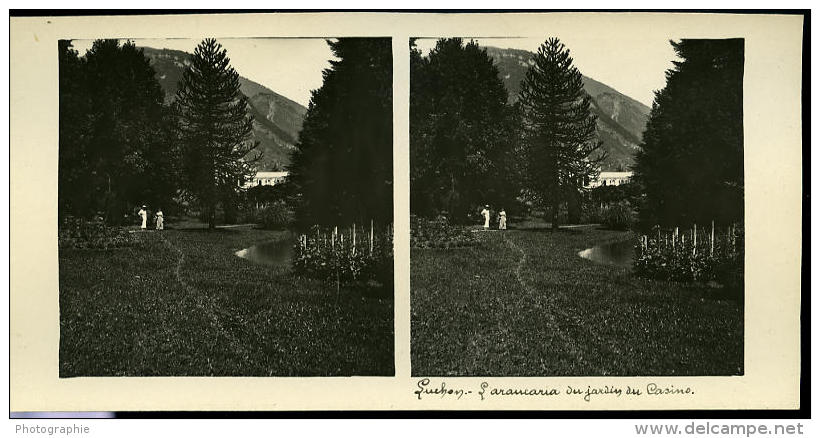 France Pyrénées 31110 Luchon Jardin Du Casino Ancienne Possemiers Stereo Photo 1920 - Stereoscopic