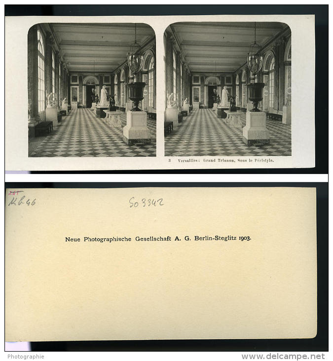 France Chateau De Versailles Grand Trianon Ancienne NPG Stereo Photo 1900 - Stereoscopic