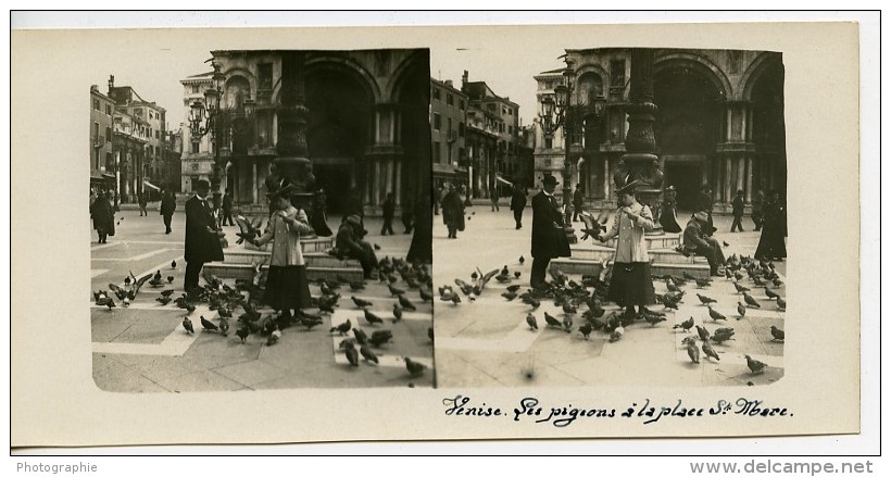 Italie Venise Les Pigeons De La Place Saint Marc Ancienne Photo Stereo Possemiers 1908 - Stereoscopic