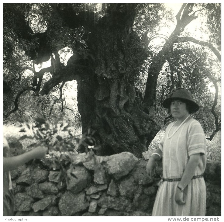 France Corse Environs D Ile Rousse Ancienne Stereo Photo Amateur 1920 - Stereoscopic