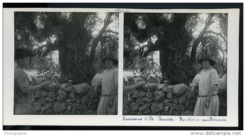 France Corse Environs D Ile Rousse Ancienne Stereo Photo Amateur 1920 - Stereoscopic