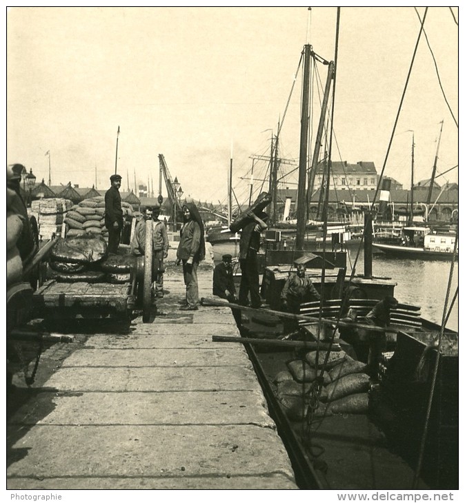 Belgique Port D Anvers Chargement D Un Chaland Ancienne NPG Stereo Photo 1906 - Stereoscopic