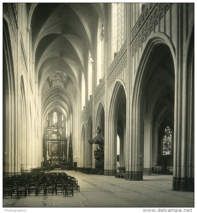 Belgique Port D Anvers Cathedrale Interieur Ancienne NPG Stereo Photo 1906 - Photos Stéréoscopiques